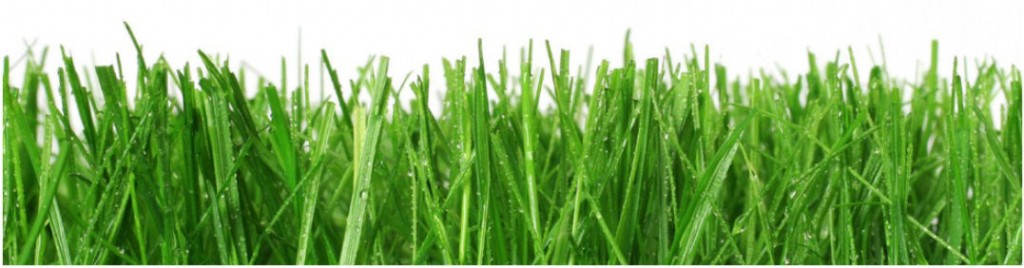 Premier Turf Care